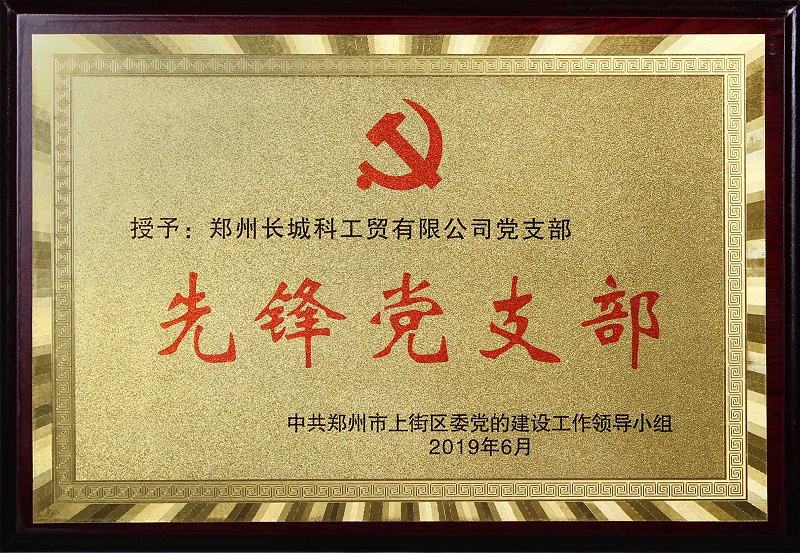我司榮獲先鋒黨支部榮譽(yù)稱號(hào)1